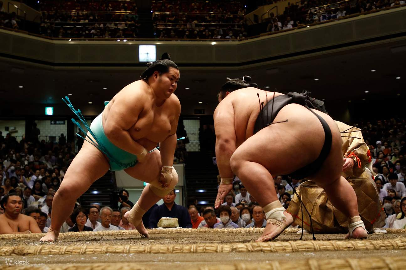 nonton sumo di tokyo pengalaman